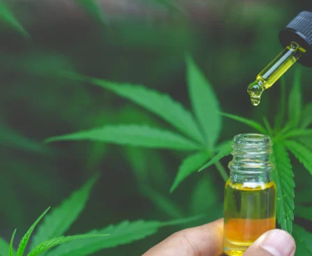Dr. Nelson Vetanze Brings Chiropractic CBD Use to the Forefront Of The Industry....