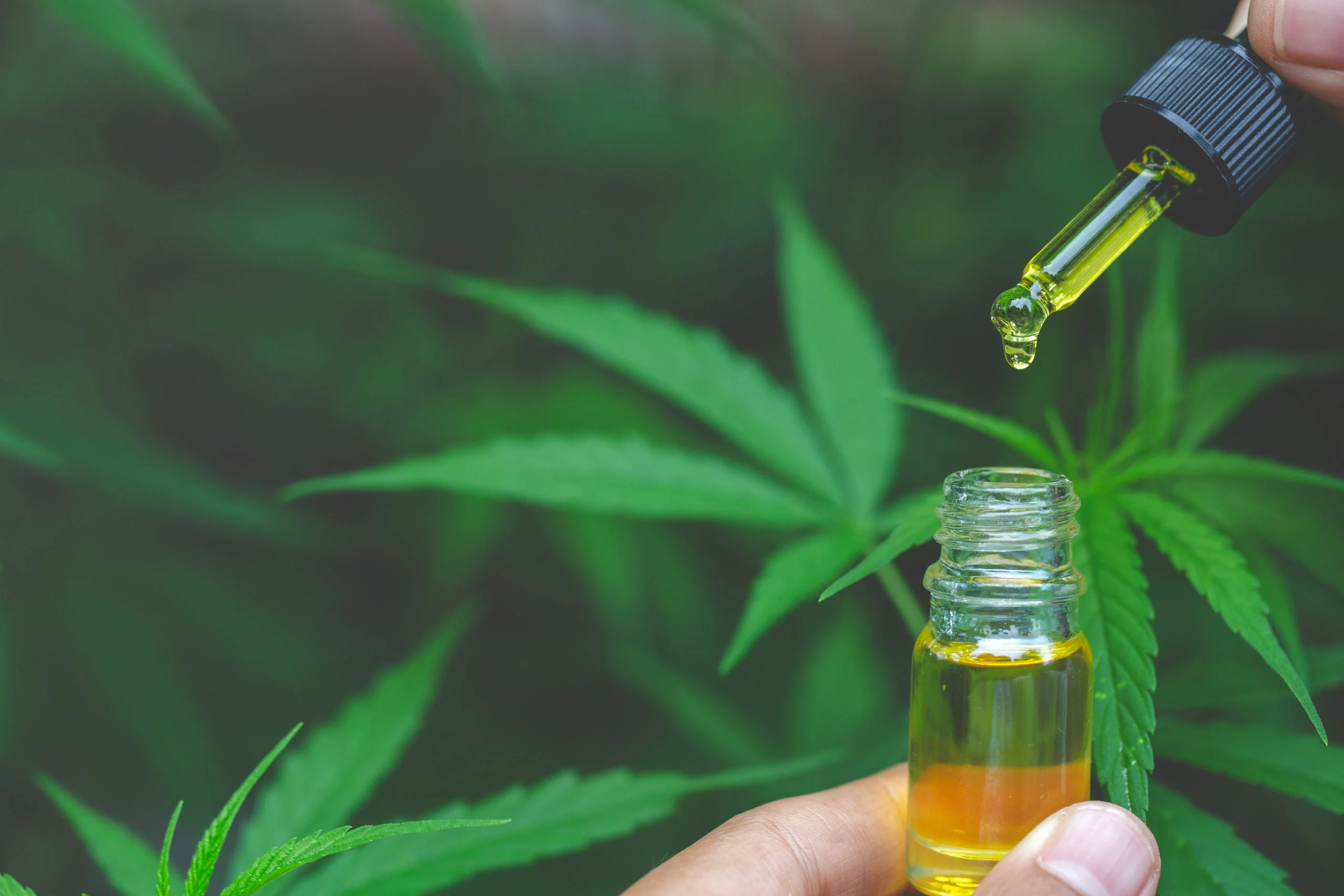 Dr. Nelson Vetanze Brings Chiropractic CBD Use to the Forefront Of The Industry....