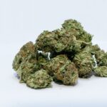Chemryder 91 Marijuana Strain