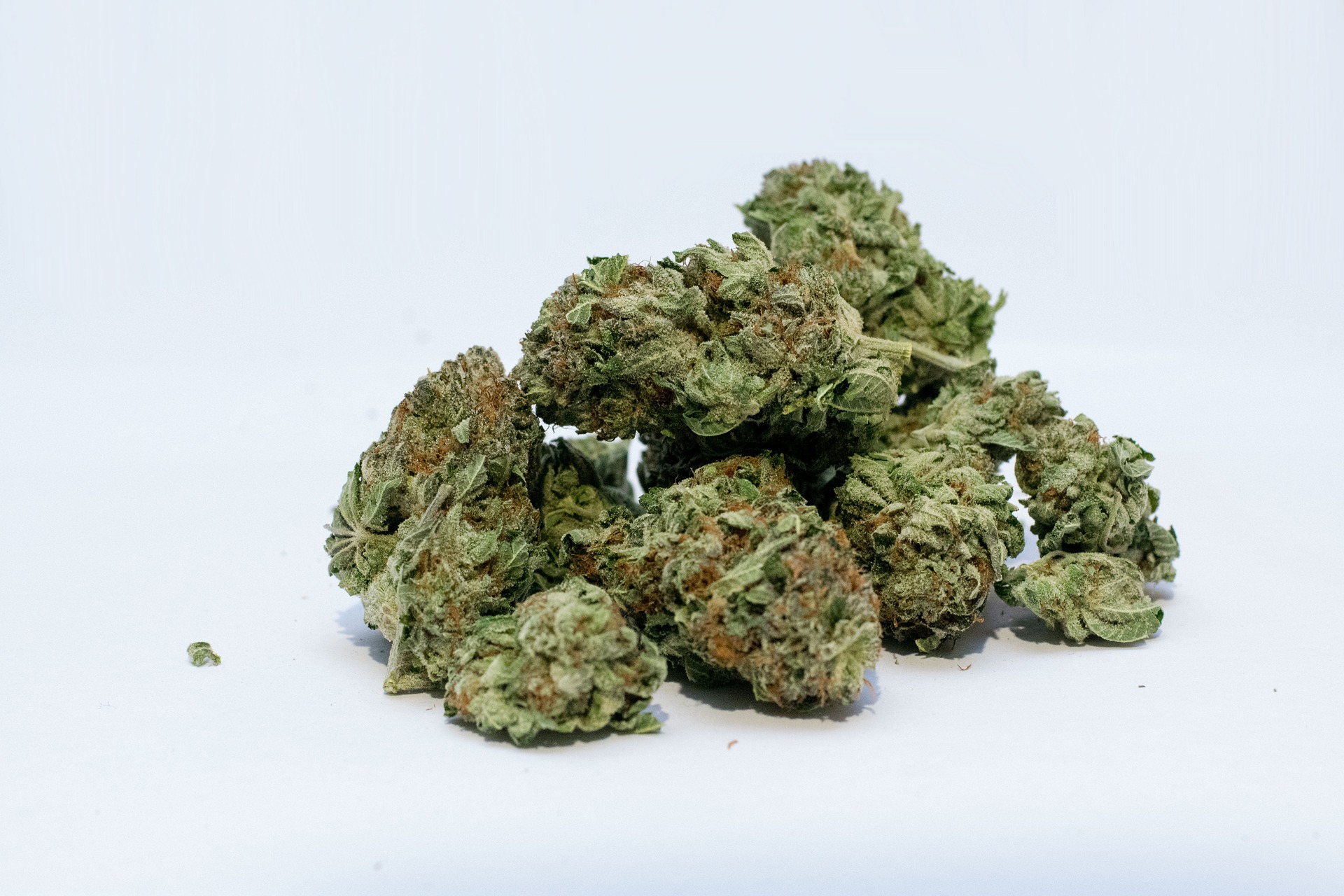 Chemryder 91 Marijuana Strain